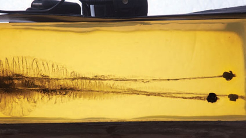 two bullet fragments in a gel block
