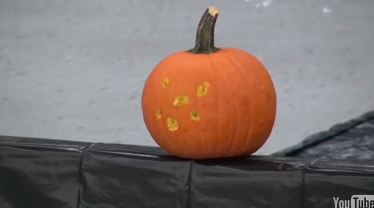 How to Carve a Pumpkin, NRA Style! | NRA Family