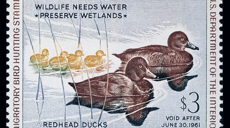 Throwback Thursday: John Ruthven, 20th-Century Audubon | NRA Family