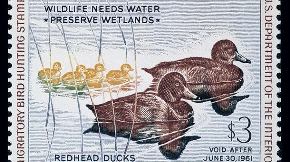 ruthven duck stamp