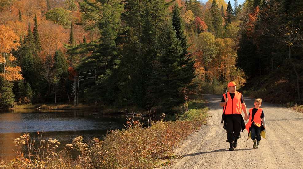 Istock Dvorchak Ready For Hunting Season