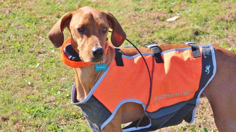 Reviewed: Dogtra Pathfinder e-Collar Keeps Dogs Safe Afield | NRA Family