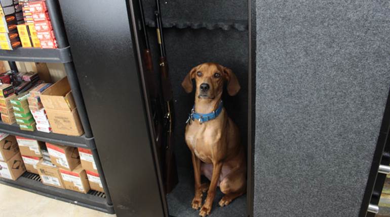 Reviewed: SnapSafe Modular Gun Safe | NRA Family