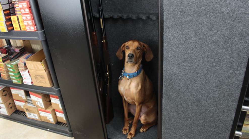 Author's dog is named Browning and he's hiding in the safe.