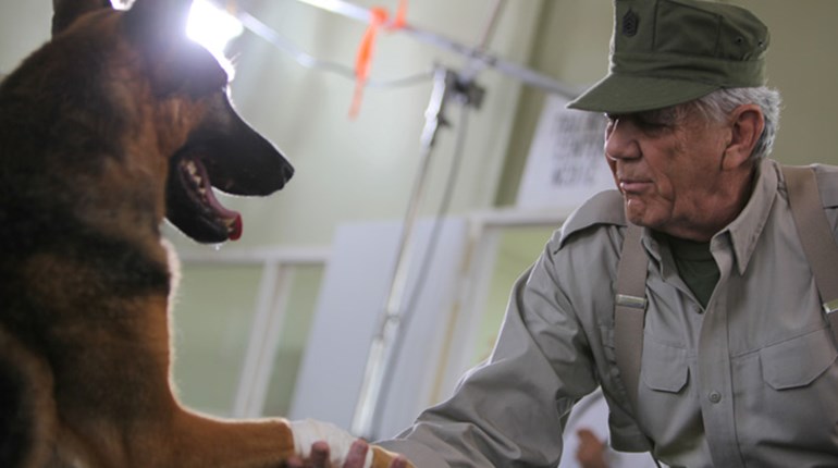 The Gunny Speaks: Saving Private K9 | NRA Family