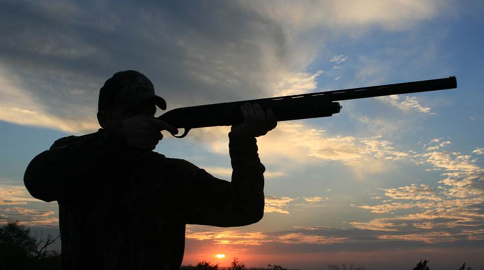 photo-tips-lead1.jpg