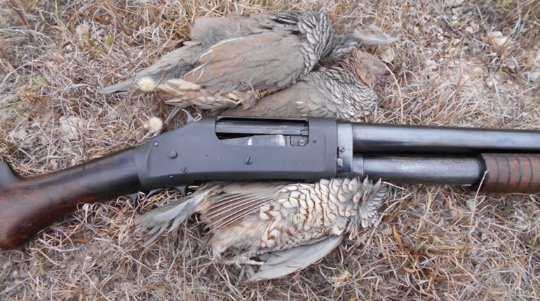 Fun Friday: My Winchester 1897 and the "King of Hollywood" | NRA Family