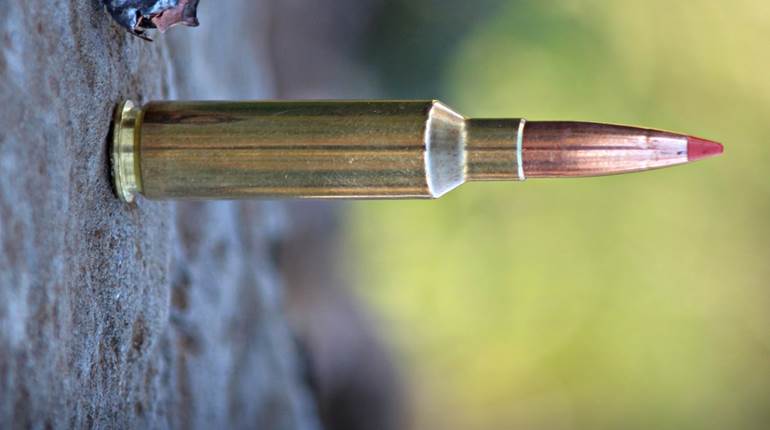 First Impressions: Federal's New Fusion Tipped Rifle Cartridges | NRA Family