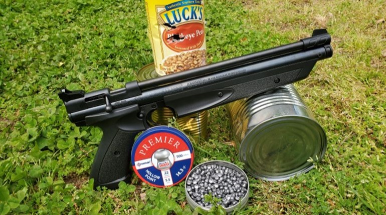Camper's Dream "Gun": Crosman American Classic .22 Air Pistol | NRA Family