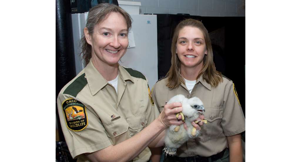 cool-jobs-wildlife-biologist.jpg