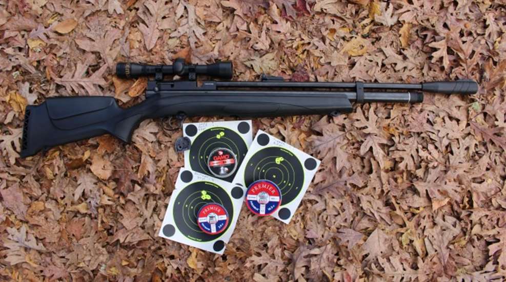 beeman-1335-rifle-and-targets.jpg