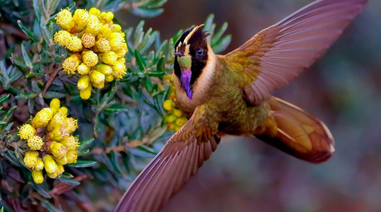 Budding Outdoor Writers: OWAA Student Photo Contest And Norm Strung Youth Writing Awards! | NRA Family