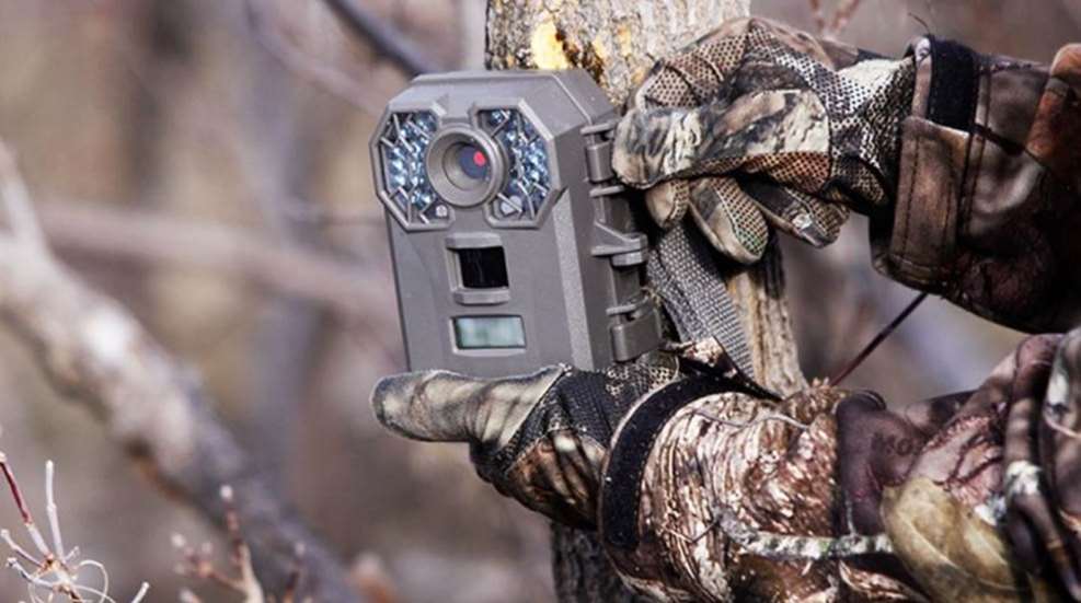 trailcamtricks-predatorscouting_lead.jpg