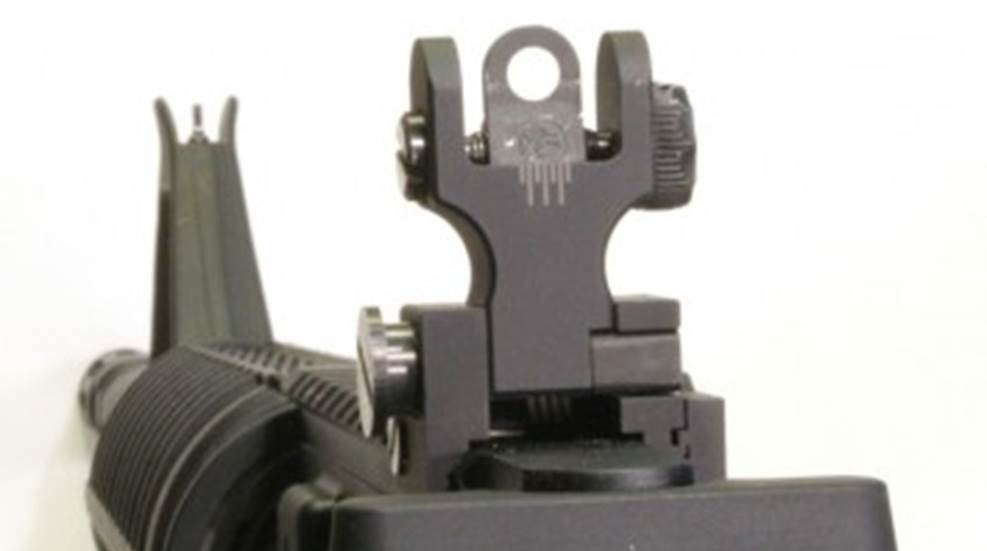 iron-sights.jpg