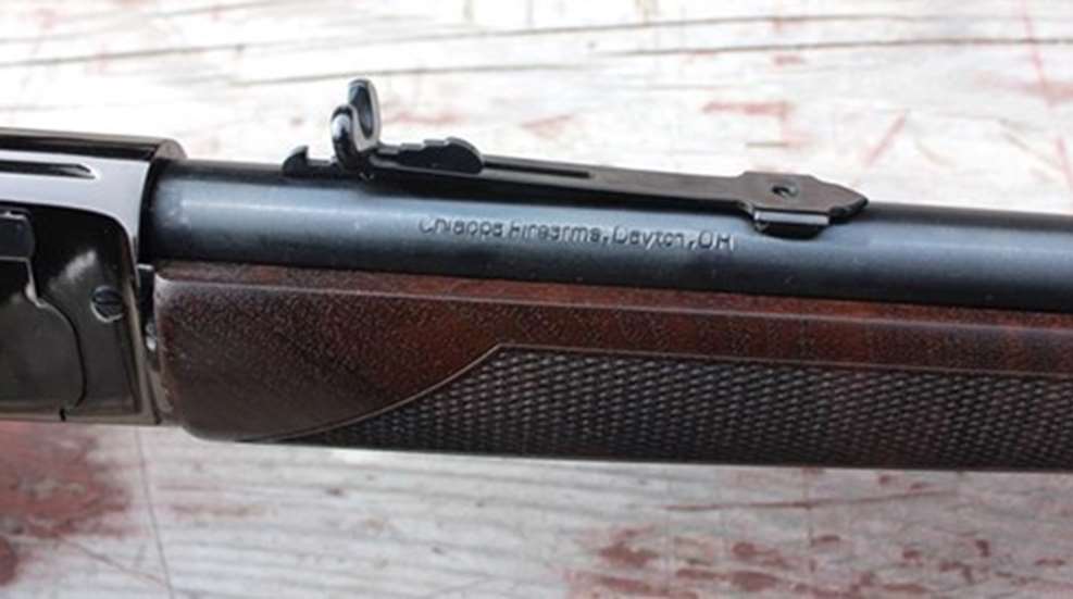 buckhorn-sight.jpg