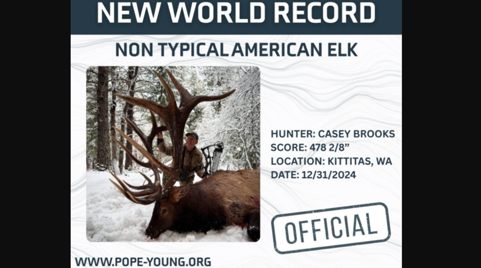 Pope Young American Elk Record 2025