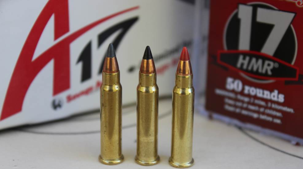 rimfire-training-gun-lead.jpg