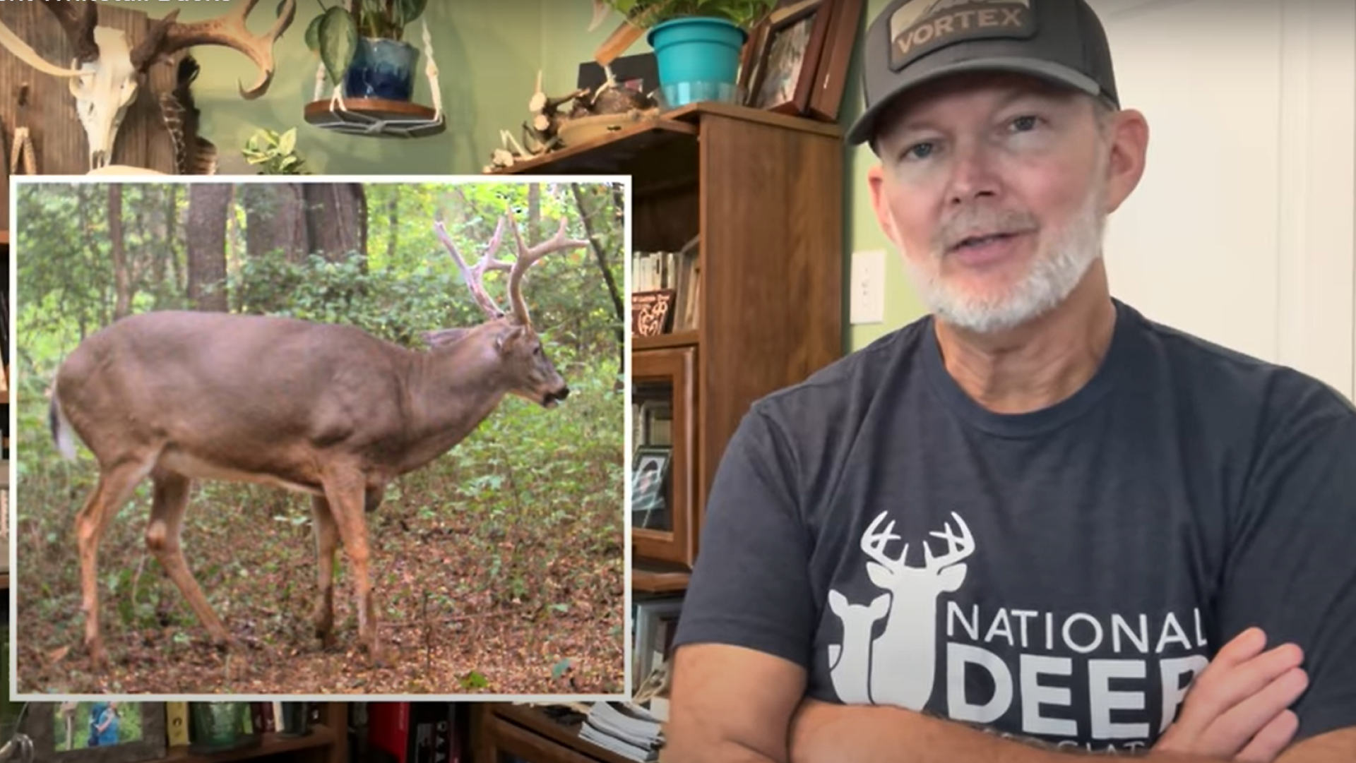 National Deer Association: How to Spot the Oldest, Rarest Whitetail Bucks
