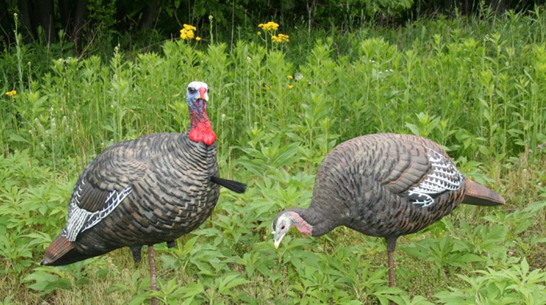 Industry Spotlight: Avian-X | NRA Family