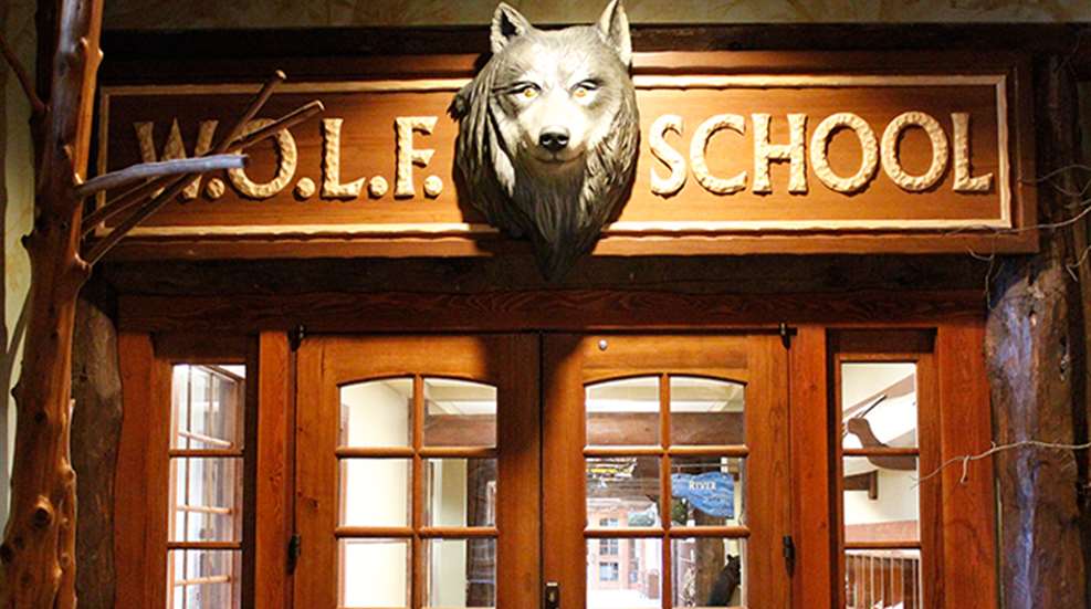 wolf.jpg