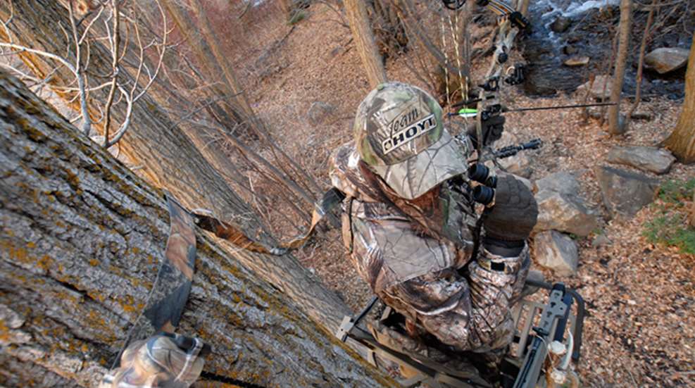 treestand.jpg