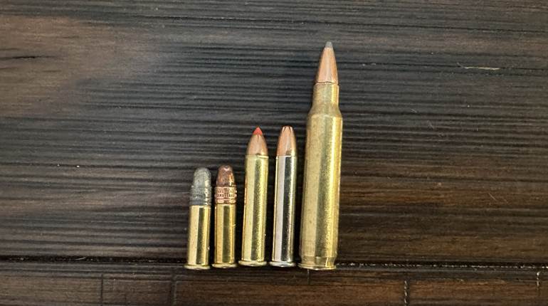 Ammo Awareness: .22 WMR | NRA Family