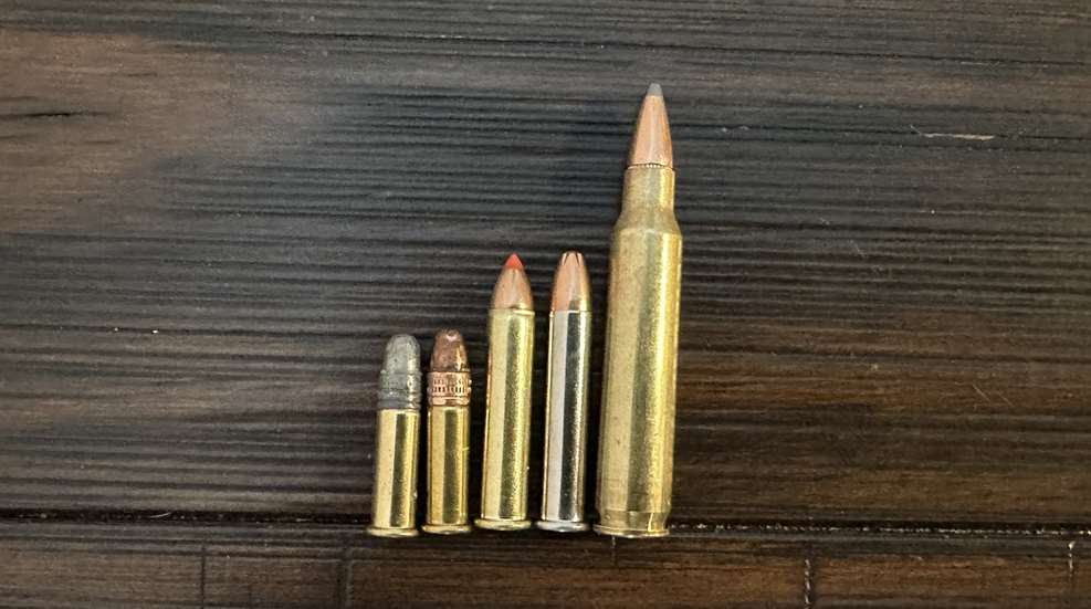 22 Wmr Lede