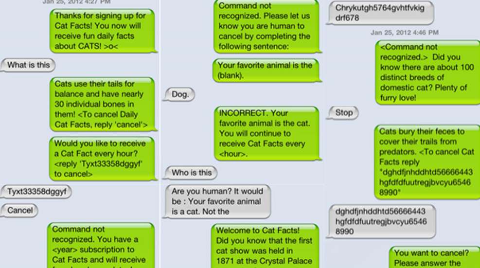 welcome-to-cat-facts.jpg