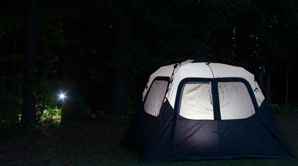 shelter-in-place.jpg