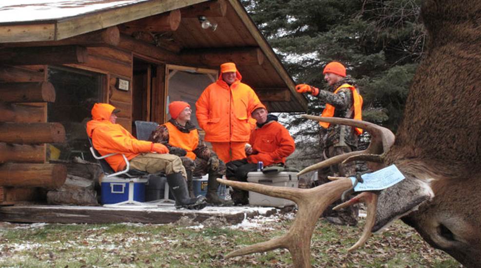 cabin.jpg