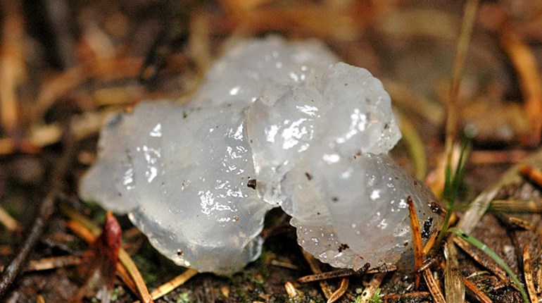 5 Crazy Things Only Outdoors People Get to See | NRA Family