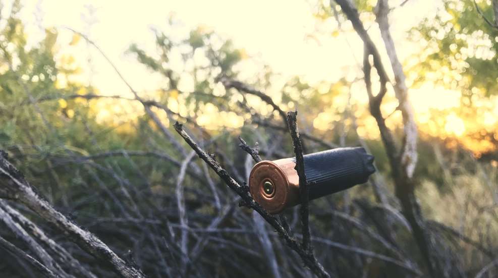 Why Cant I Hit Doves Istock