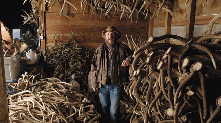 Shed Antlers Are His Business | NRA Family