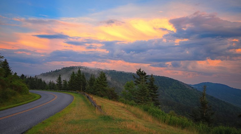 Register Now for Public-Land Christmas Tree Permits | NRA Family