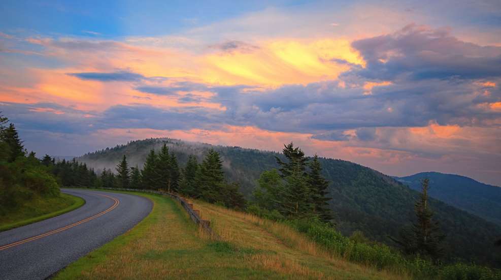 National Forest Christmas Tree Lede