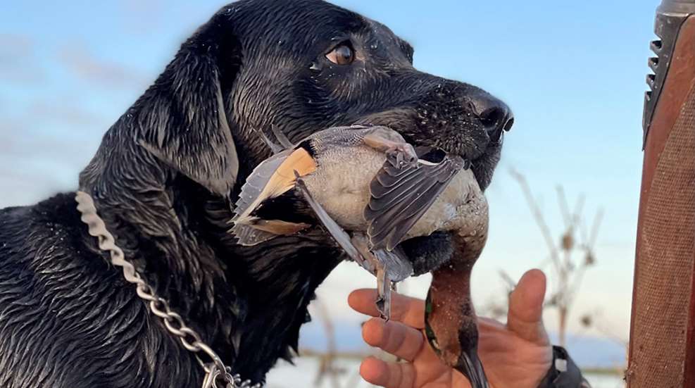 National Hunting Fishing Day