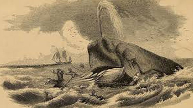 Throwback Thursday: Whaleship Essex & the "Real Moby-Dick" | NRA Family