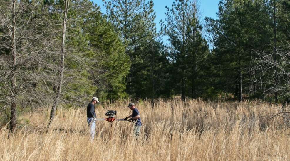 People wearing blue and white in the backwoods during turkey season. Not a good look.