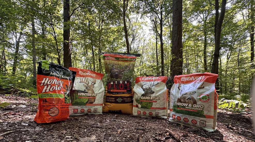 Melloni Food Plot Lede