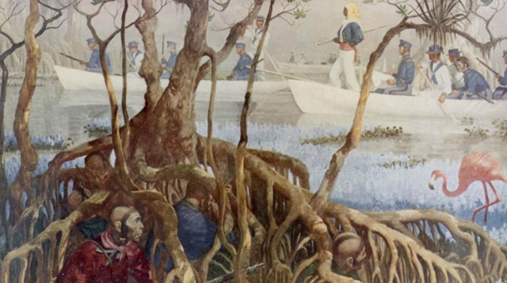 seminole_war_in_everglades.jpg (1)