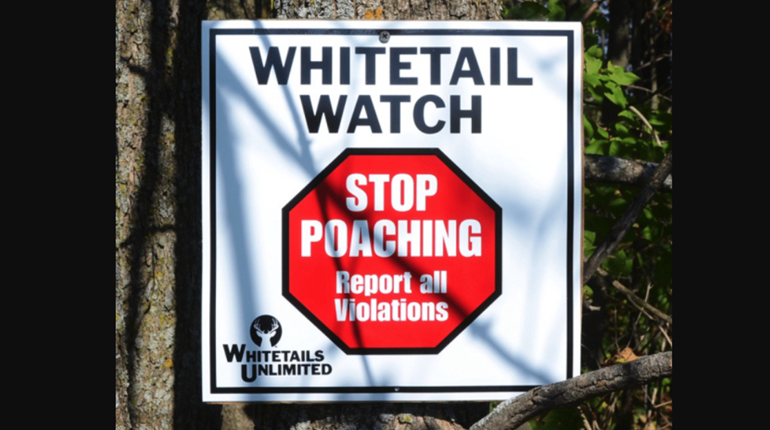 Fight Poaching with Whitetail Watch | NRA Family