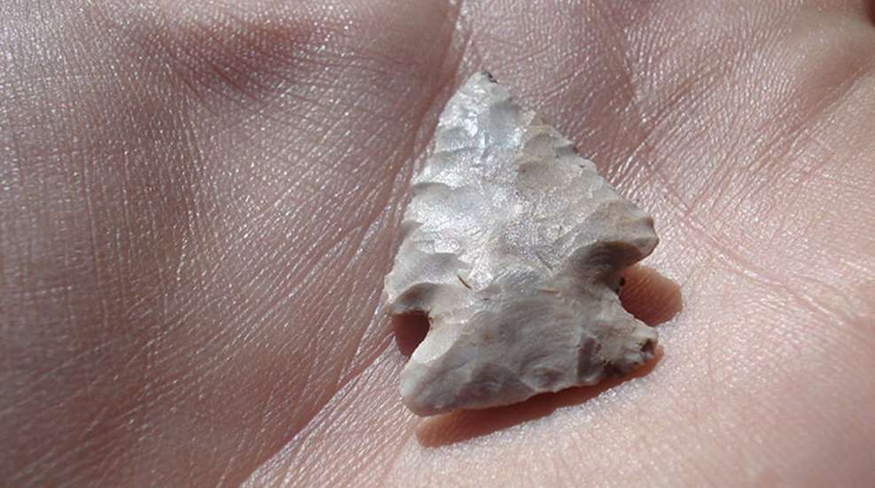 clovis-point.jpg
