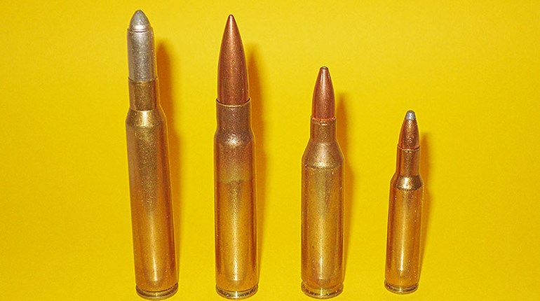 Which Big Game Cartridge is Best? | NRA Family