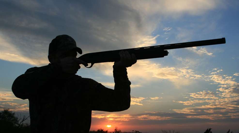 photo-tips-lead1.jpg