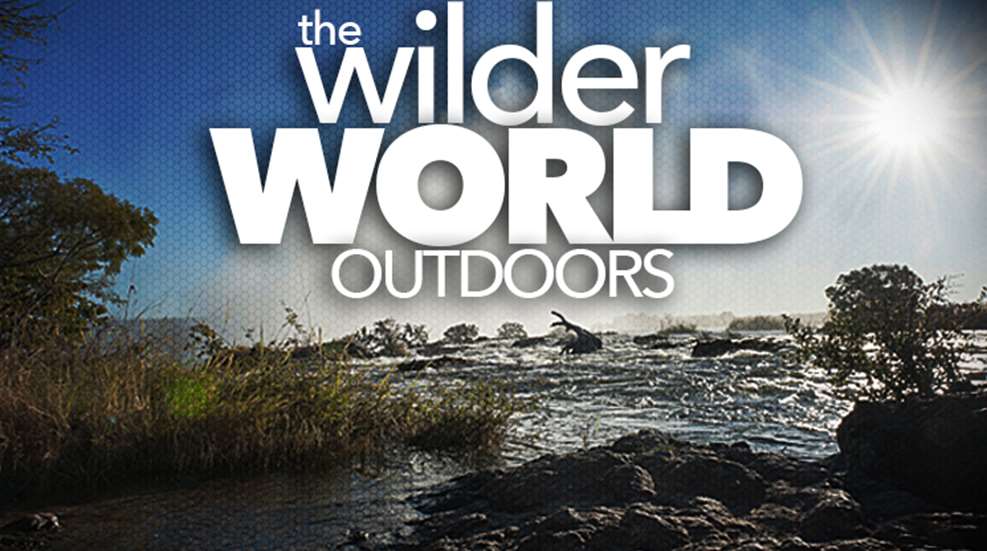 wilder_ah2015_fs.jpg