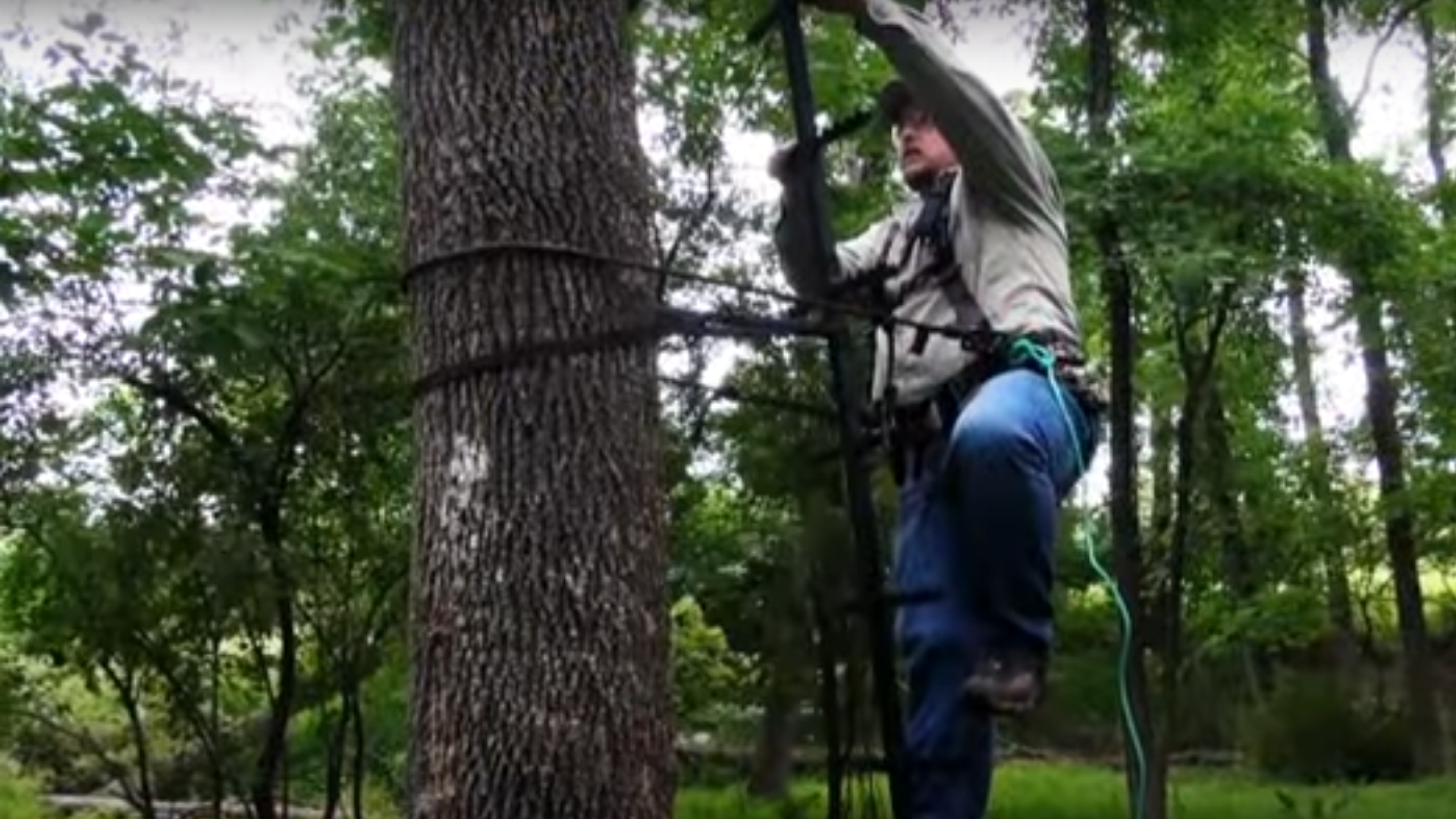 NRA's Top 5 Treestand Safety Tips | NRA Family