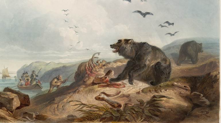 Throwback Thursday: Lewis & Clark Vs. Grizzly Bears | NRA Family