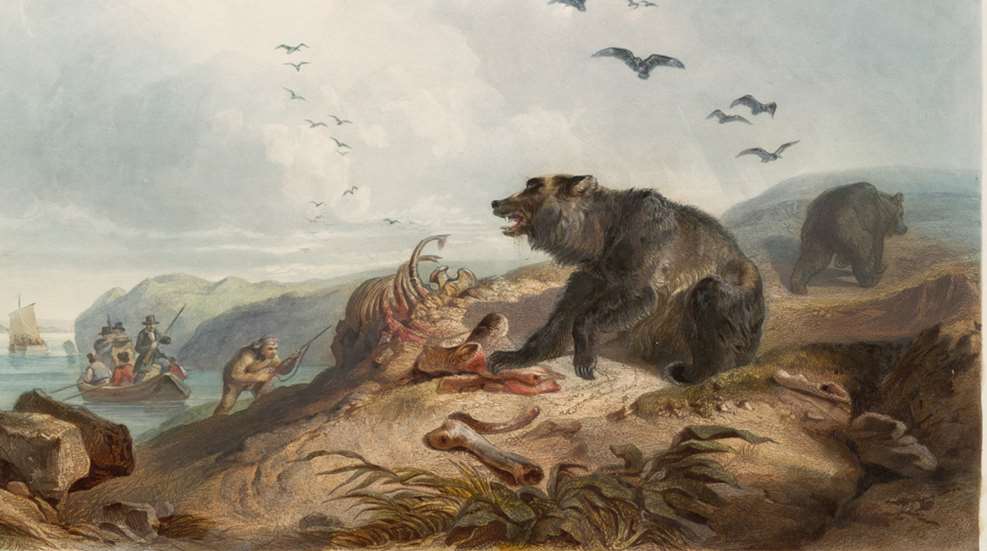 Hunting Of The Grizzly Karl Bodmer Public Domain