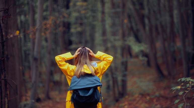 Lost In The Woods Image