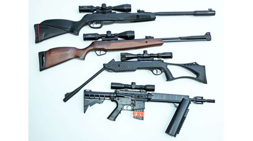 784-gamo-stoeger-ruger-crosman-dvorchak.jpg